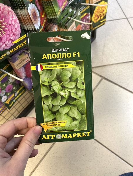 шпинат Аполло F1 (уп.2гр.) Франция